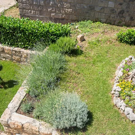 Relaxing Luce Cilipi