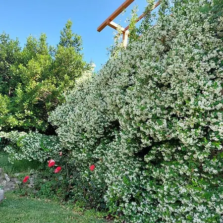 Relaxing Luce Чилипи